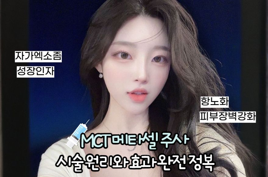 MCT 메타셀 주사란? 시술 원리와 효과 완전 정복