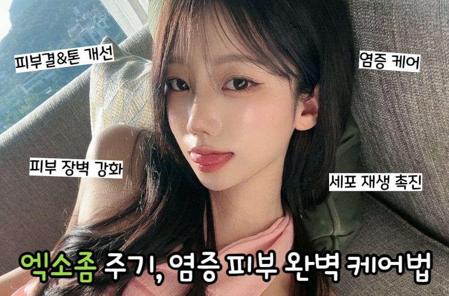 엑소좀 주기, 염증 피부 완벽 케어법