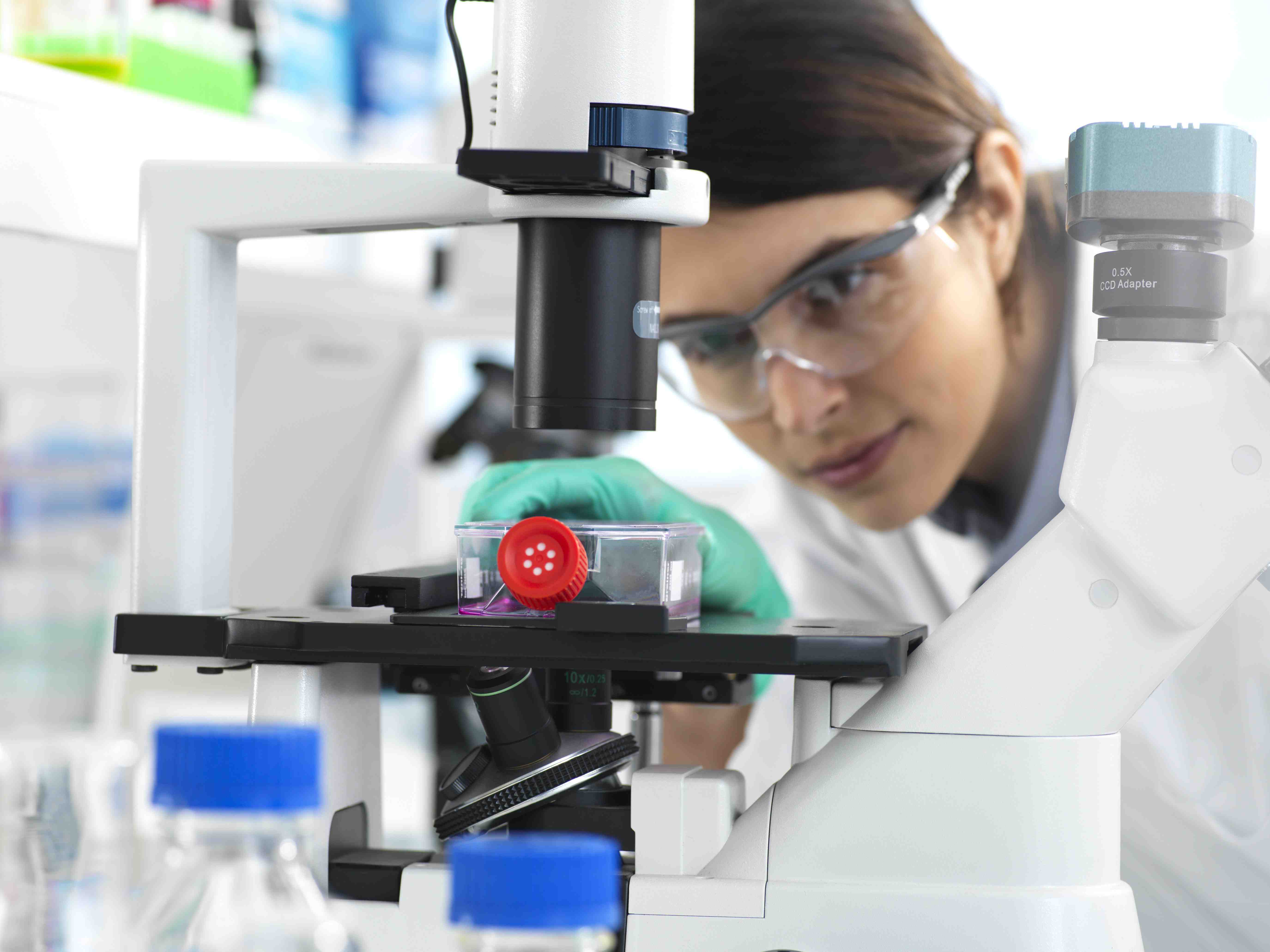 줄기세포피부주사, 효과와 안전성 완전정복