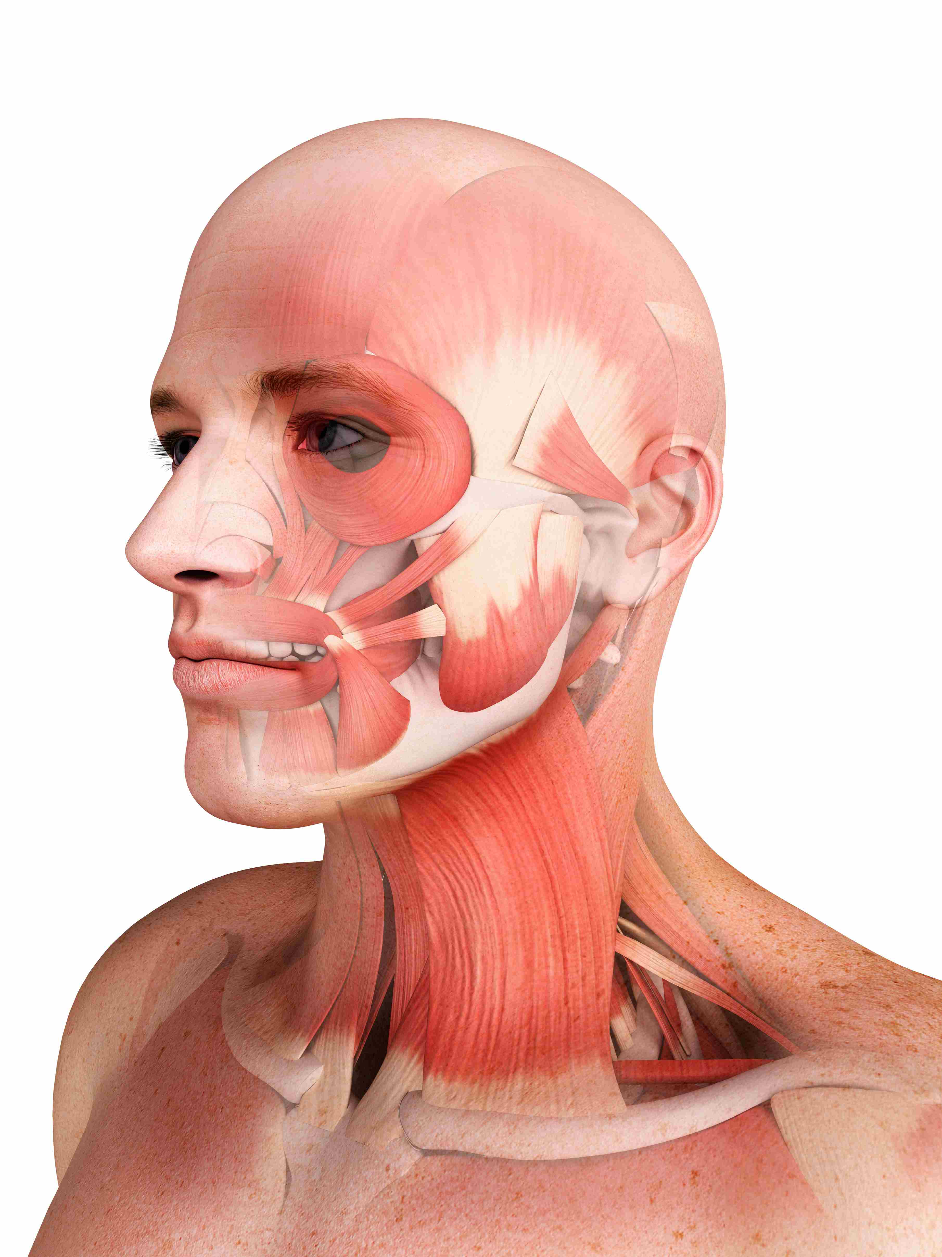 Facelift in Korea: Complete Guide for International Patients